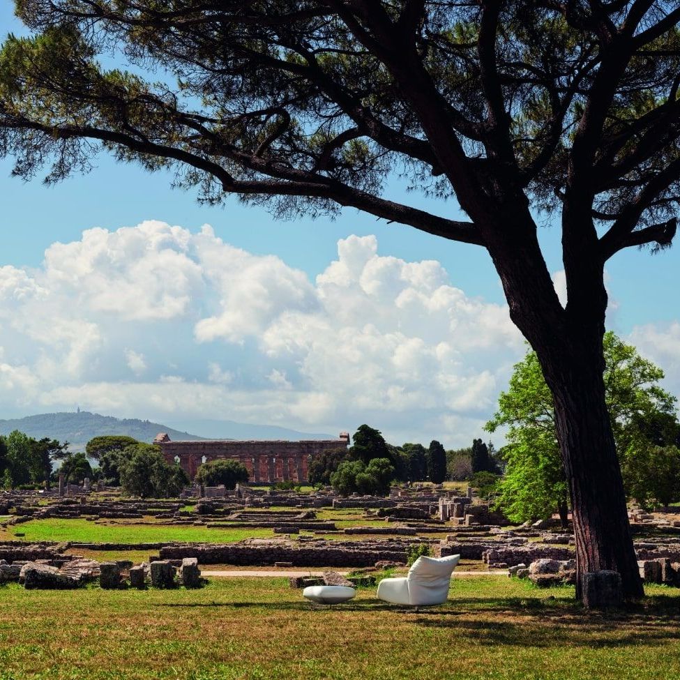  Chiara. La poltrona &ldquo;osserva&rdquo; il suggestivo parco archeologico di Paestum, l&rsquo;antica citt&agrave; della Magna Grecia. 