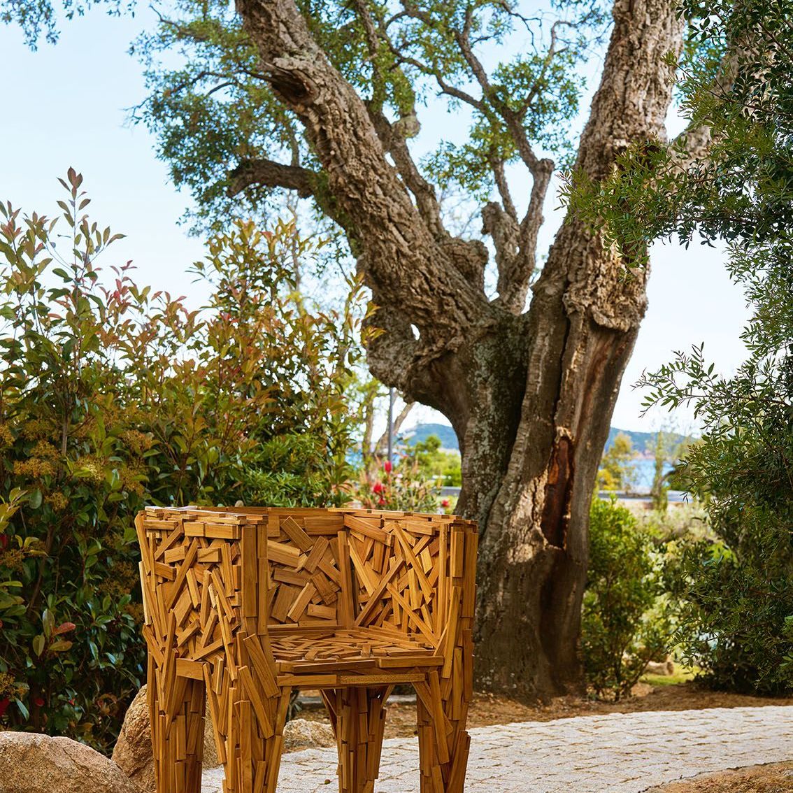   Favela  among the pines, olive trees and Mediterranean maquis, in the garden leading from A Spartera to the beach. 